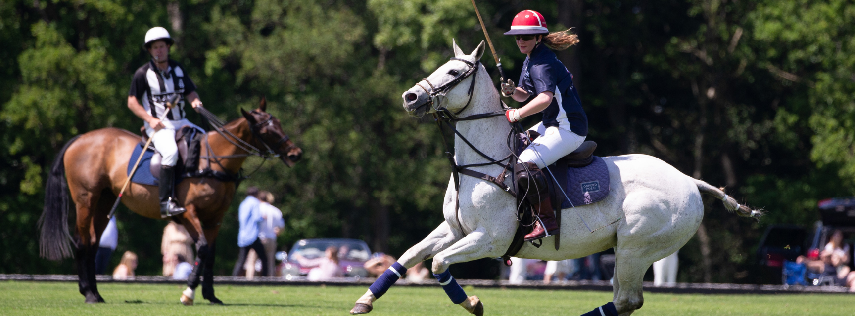 polo banner