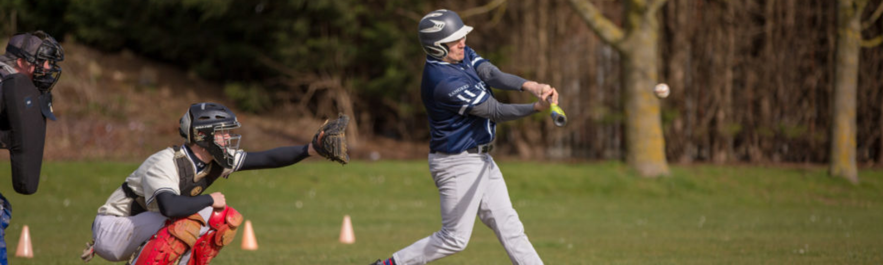 A man hitting a baseball shot, with a backstop behind waiting for him to miss