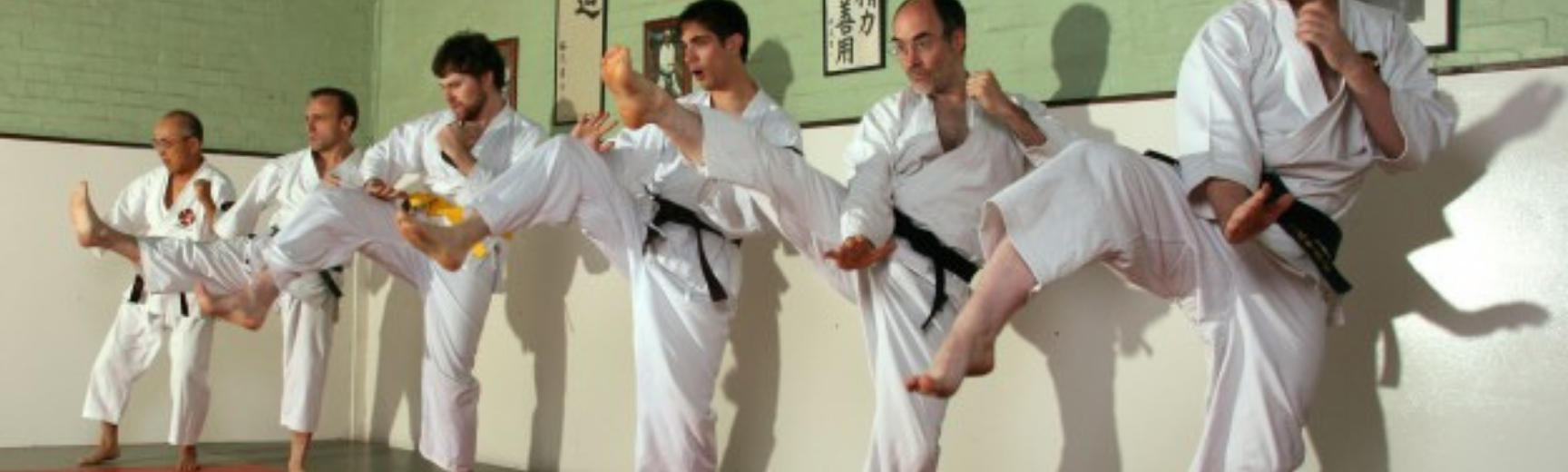 Six men in a row performing a martial arts kick