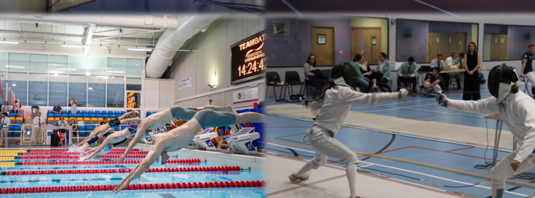 modern pentathlon banner