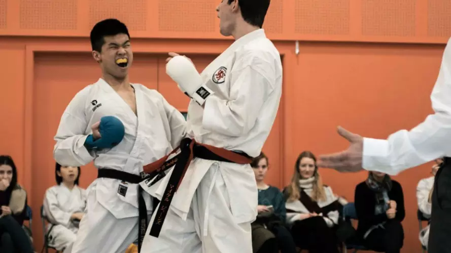 karate banner