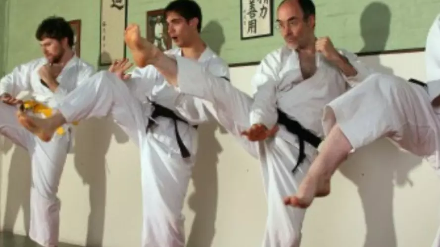 Six men in a row performing a martial arts kick