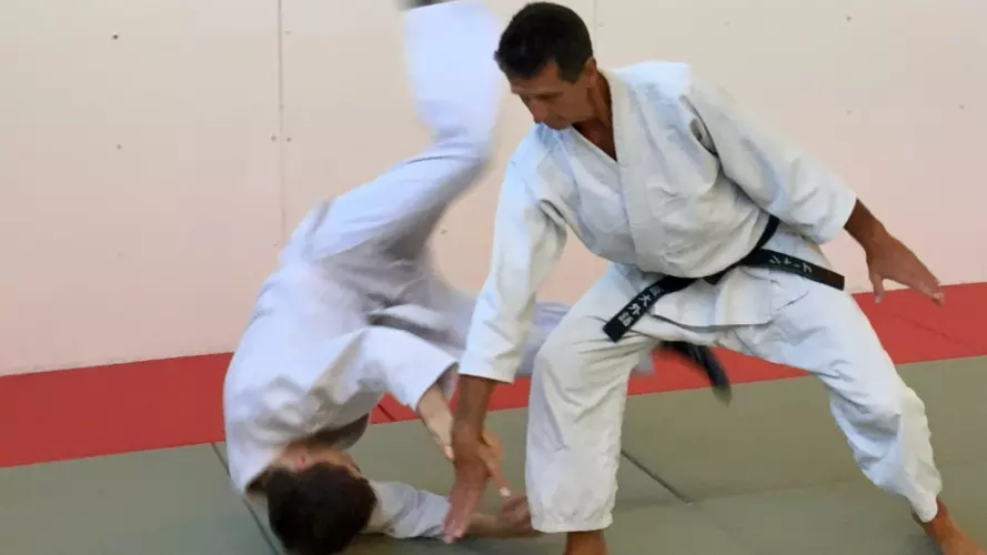 Aikido Banner