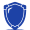 Blue shield favicon